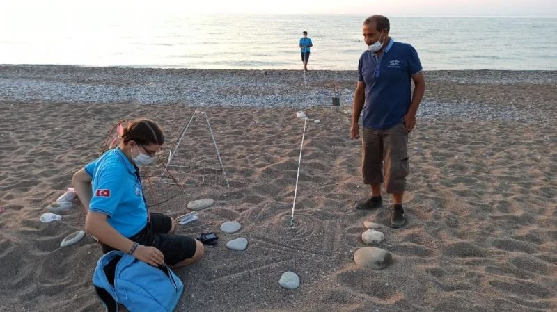 Antalya’da 2020 yılında 4 bin 842 yuvadan 204 bin 591 deniz kaplumbağası denizle buluştu
