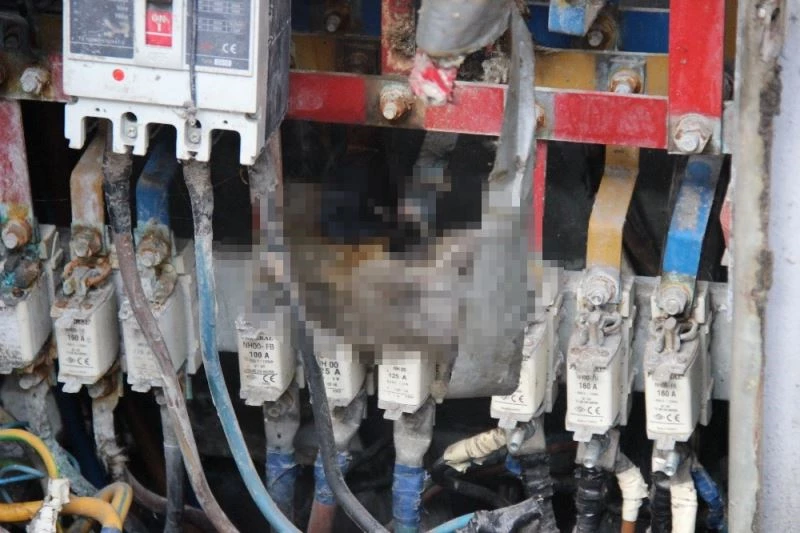 Elektrik panosuna giren fare telef olunca iş merkezini elektriksiz bıraktı
