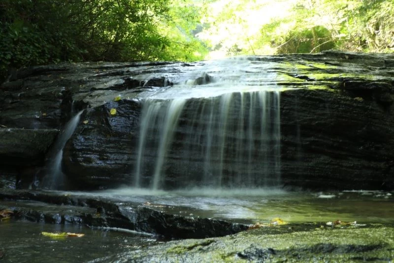 Zonguldak, kömür ve doğalgazın ardından şimdi de doğasıyla dünyaya açılacak
