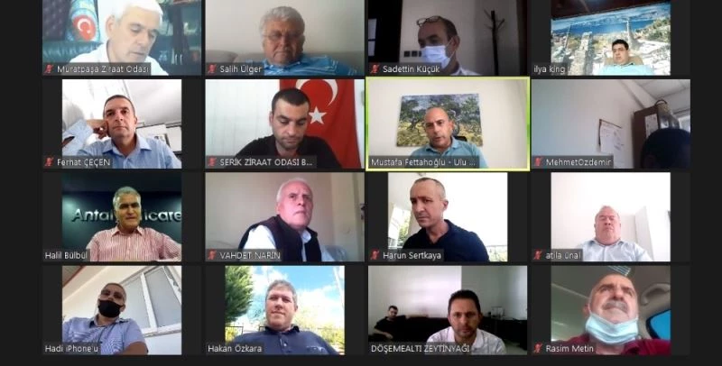 Zeytinde Yüzde3-40 rekolte kaybı
