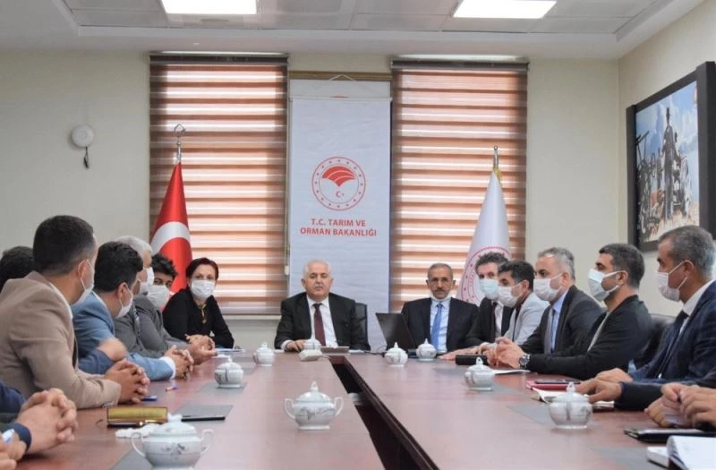 Van’da “Köyümde Yaşamak İçin Bir Sürü Nedenim Var” projesi
