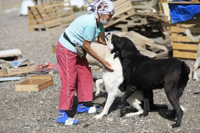 Özdilek’in mama desteği ile sevimli patiler doyuyor
