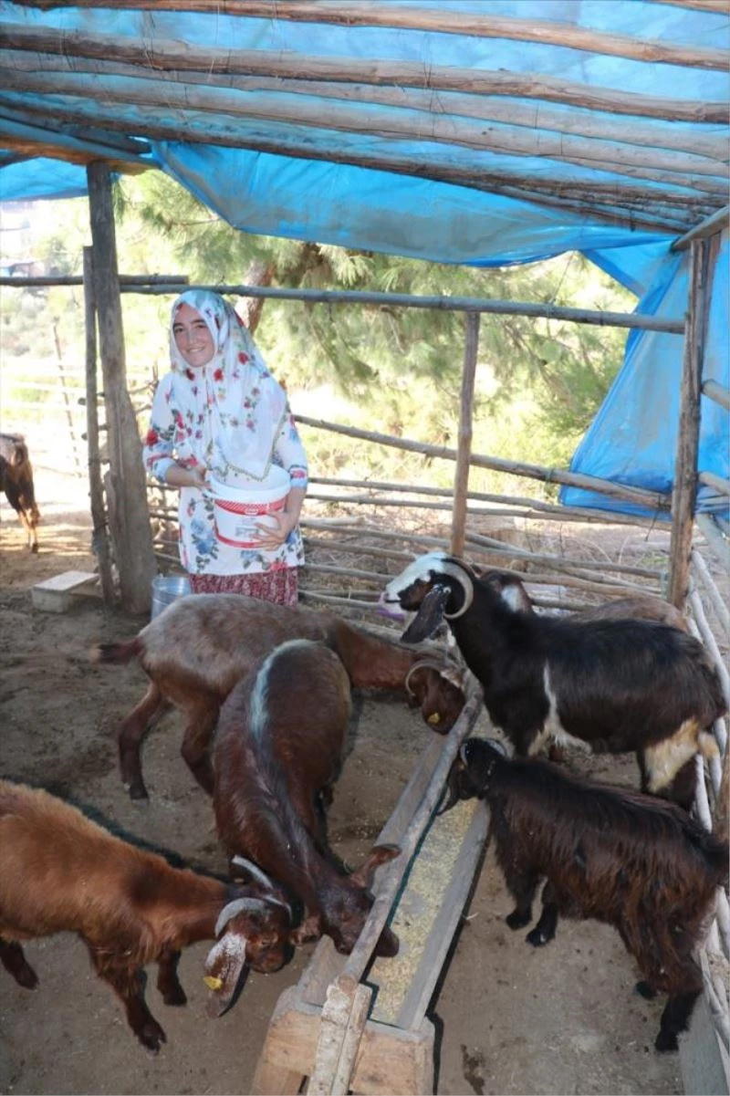 Kent yaşamından vazgeçen Adanalı kadın ekonomik refahı besicilikte buldu