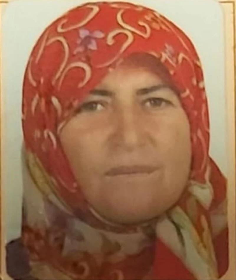 Virajı alamayan sürücü kamyonetiyle uçuruma yuvarlandı: 1 ölü, 1 yaralı
