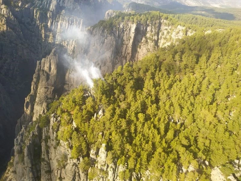 Tazı Kanyonunda orman yangını
