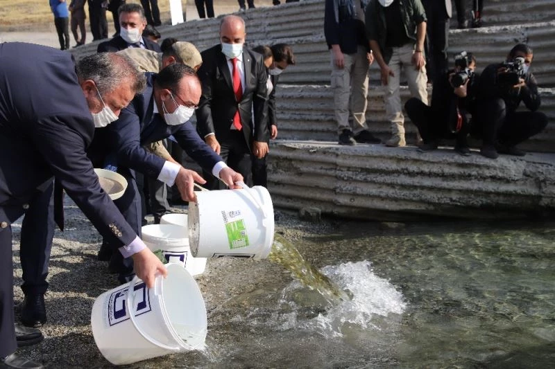 Cumhuriyet’in 97. yılı anısına Keban Barajı’na 970 bin adet balık yavrusu bırakıldı
