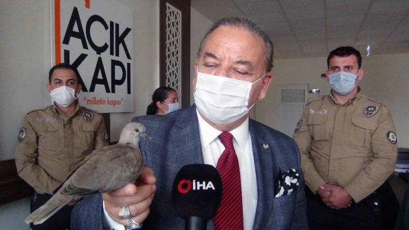 Menteşe Kaymakamlığının ‘Paşa’sı
