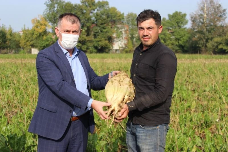 Şeker pancarı üreticileri: 