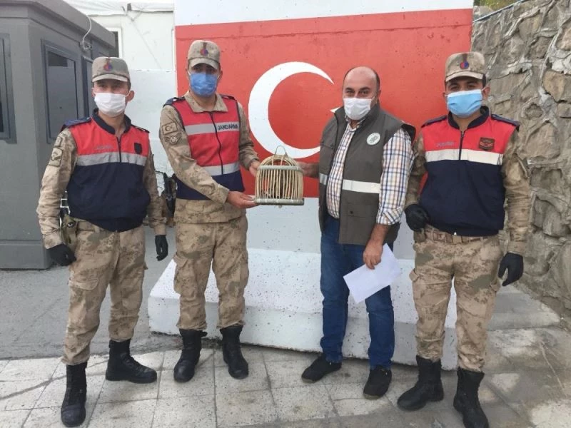 Kaçak avlanılan Kerkeneze el konuldu
