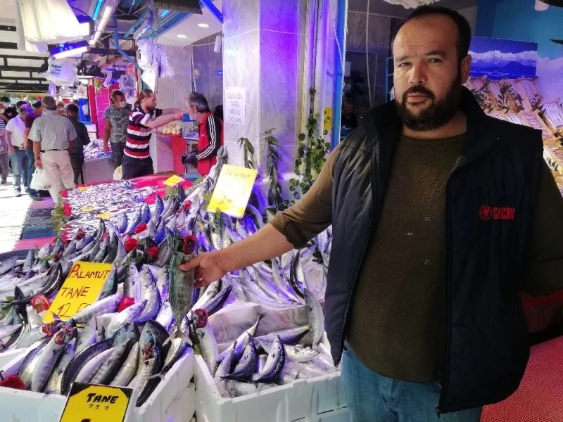 Palamut büyüyor, fiyatı küçülüyor
