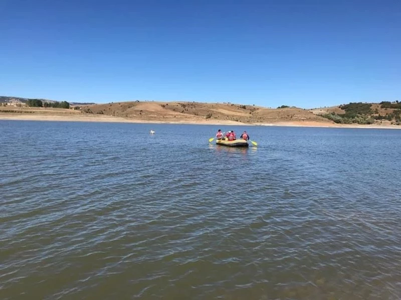 Sürüden ayrılan koyun baraj suyunda mahsur kaldı
