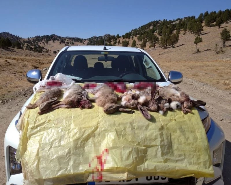 Korucu, imam ve muhtara kaçak tavşan avı baskını
