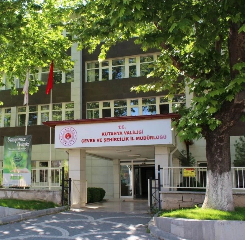 Tartışmalı çınar ağacının yaşı yeniden tespit edilecek
