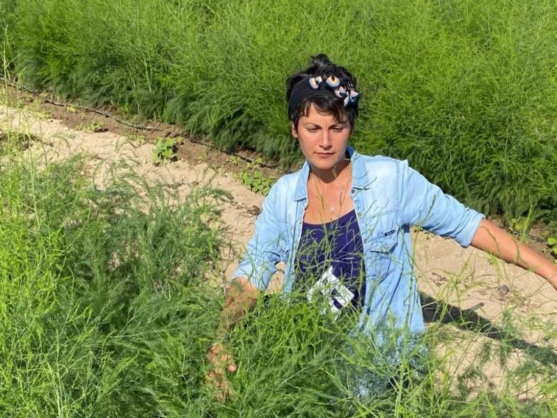 ODTÜ’lü Aslı, pazarlama sektörünü bırakıp kuşkonmaz üretimine başladı
