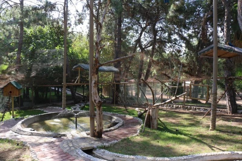 Antalya Hayvanat Bahçesi