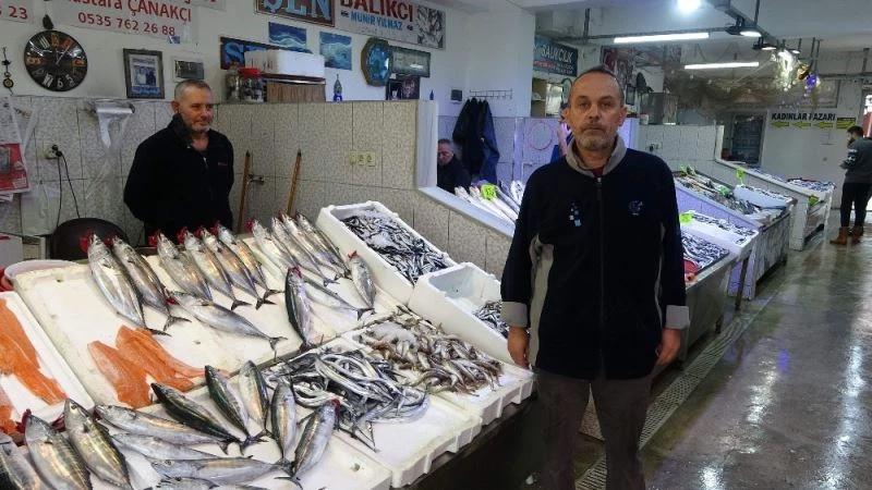 Palamut fiyatıyla cep yakıyor
