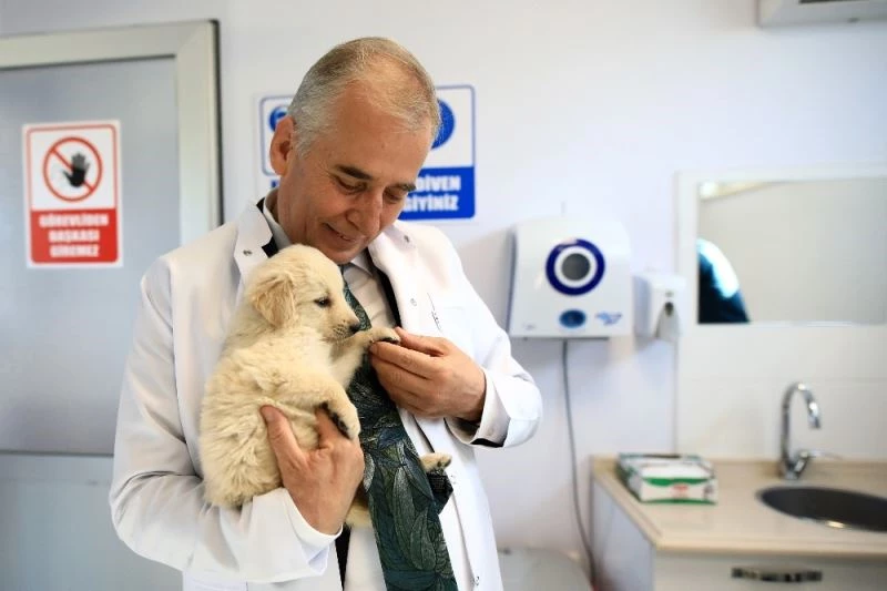 Can dostlar Büyükşehire emanet
