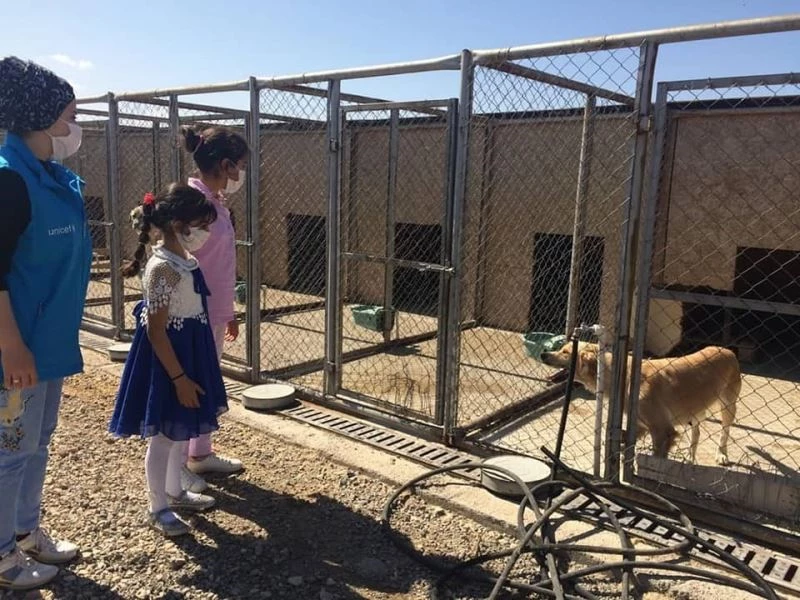 Öğrenciler hayvan barınağını ziyaret etti
