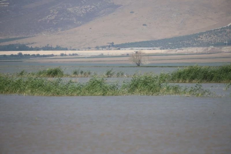 Reyhanlı Barajı, Amik Ovası