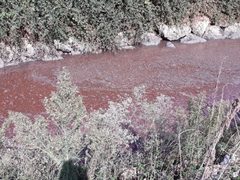Bursa Kocasu deresinde çevre felâketi
