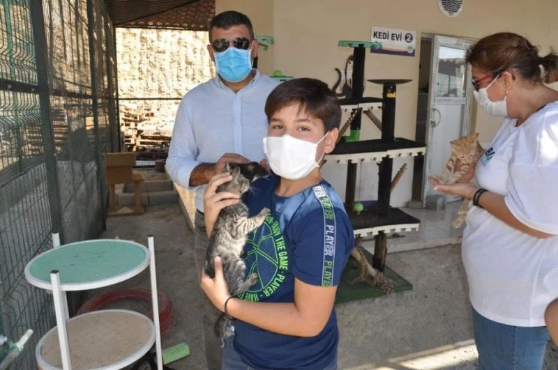 Mersin’deki hayvan barınağında 31 hayvan sahiplendirildi
