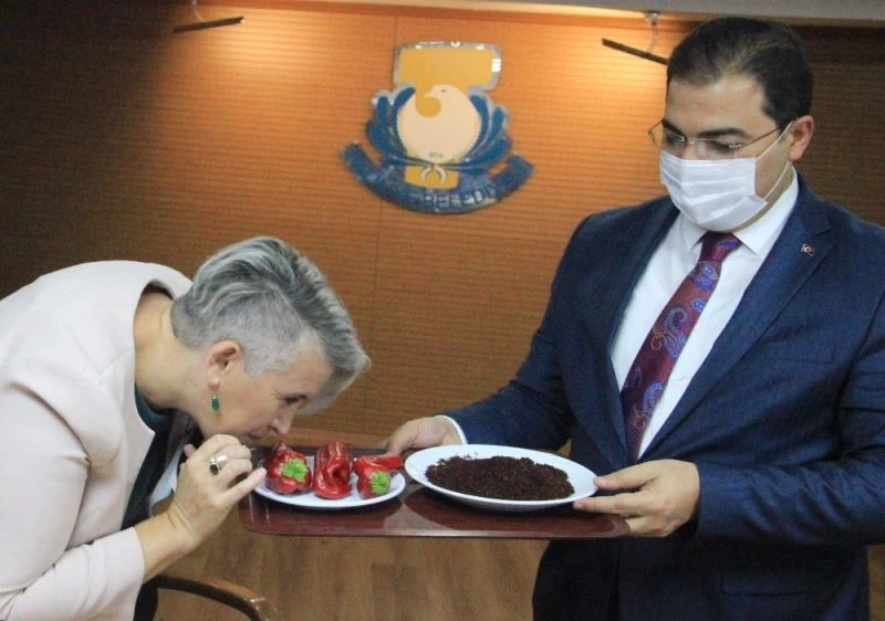 Urfa’nın acısı İrlanda Büyükelçisini yaktı
