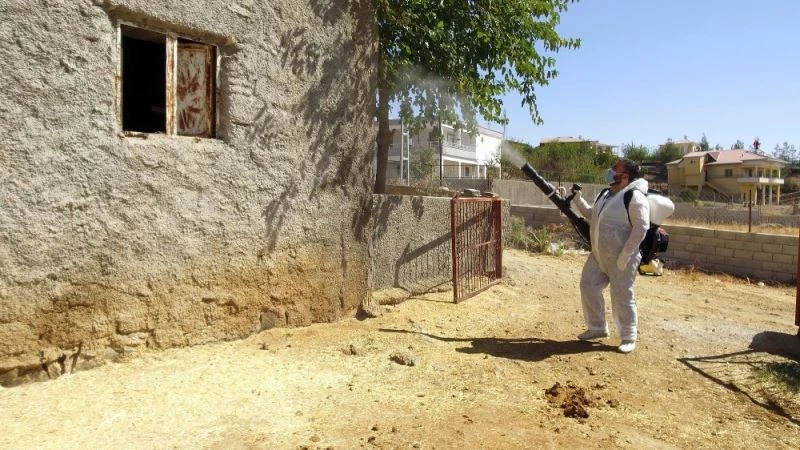 Kahramanmaraş’ta ‘Üçgün’ hastalığına karşı ilaçlama
