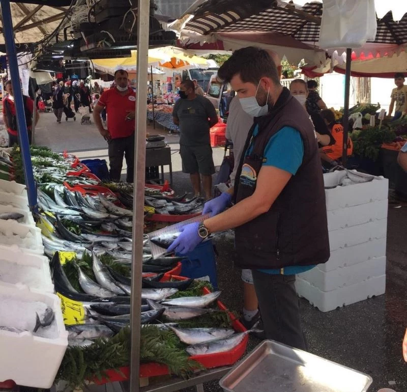 Marmara’da usulsüz balık avcılığına 29 bin 200 TL ceza
