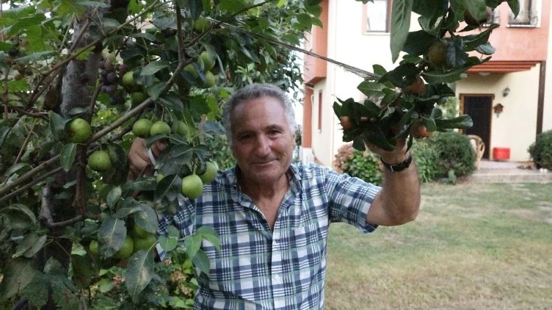 Ayva ağacında ayvadan başka her meyve var
