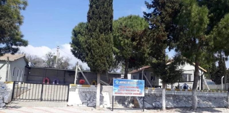 Ünlü komedyen Ata Demirer’den hayvanseverlere çağrı
