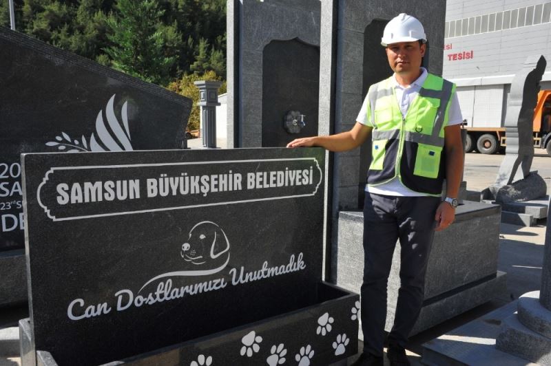 Can dostlar için doğal mama ve su kabı
