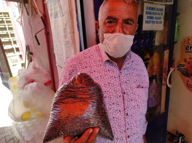 Dağdan topladıkları menengiçle geçimlerini sağlıyorlar
