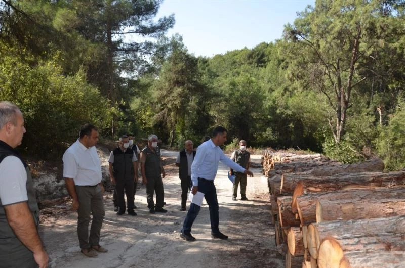 Orman Bölge Müdürü Akduman’dan Mersin ormanlarında inceleme

