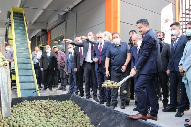 Eline küreği alan Bakan Pakdemirli makineye ceviz yükledi
