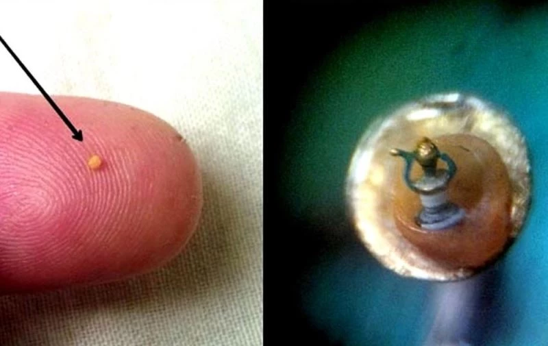 Kuşadası’nda milimetrik boyutlarda 42 mikro minyatür eser sergileniyor
