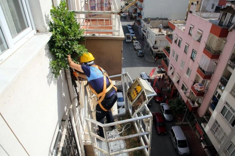 Apartmanın 6’ncı katındaki su borusunun içinde hayata tutundu
