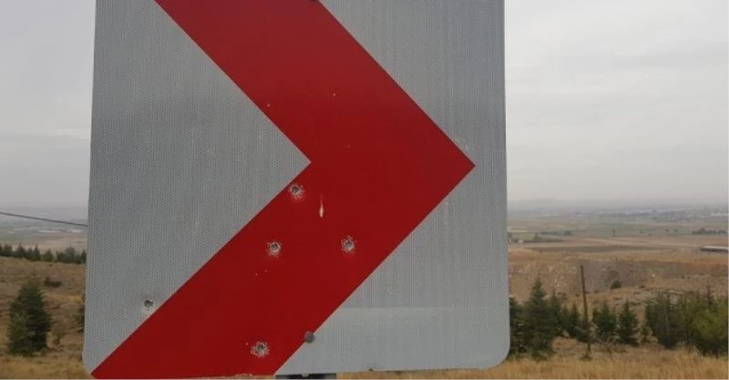 Trafik levhasını atış poligonuna çevirdiler
