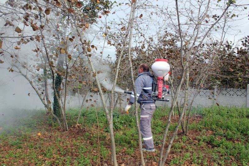Fındıkta aflatoksinden kurtulmanın en bilimsel yolu: ‘Bentonit kili’
