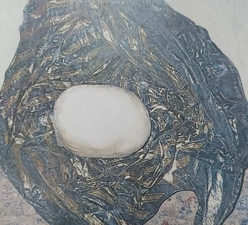 DEAŞ’ın kitabevinden çıkan bomba TNT RDX karışımı
