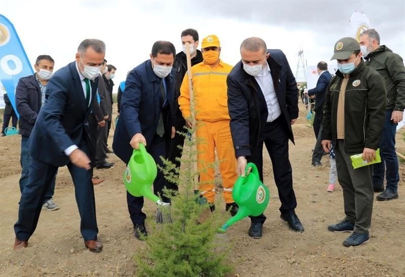 Vali Masatlı: “Yüzlerce fidanı toprakla buluşturmamız, PKK’lı hainlere verilebilecek en güzel cevap”
