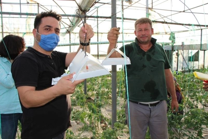 Örtüaltı üretimde entegre mücadele projesi
