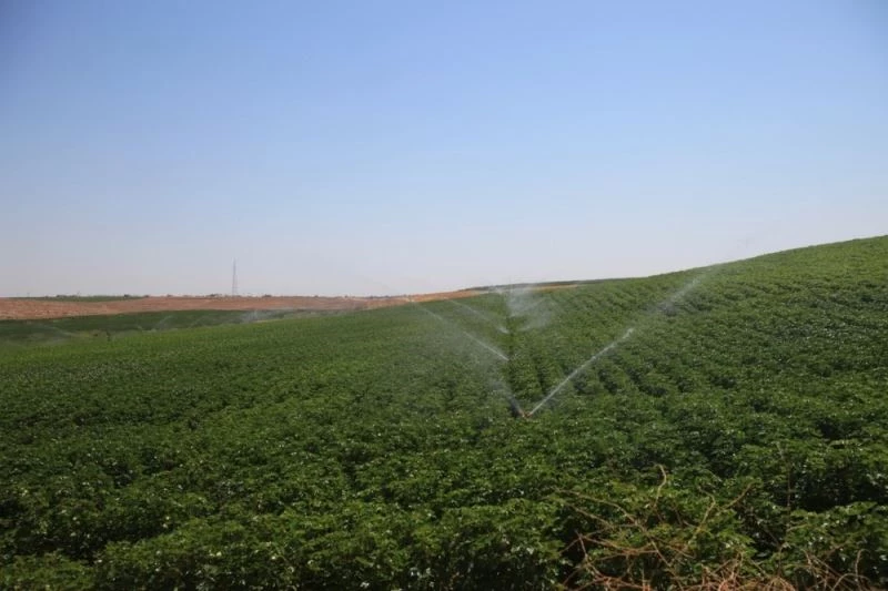 Mardin’de 100 bin dekar tarım arazisi sulandı
