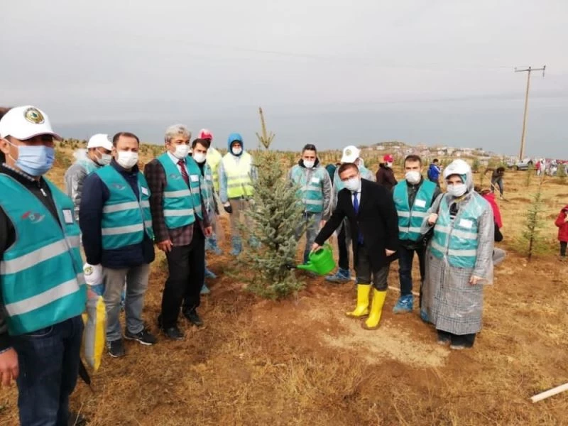 Hükümlü ve yükümlüler ağaç dikerek topluma kazandırılıyor
