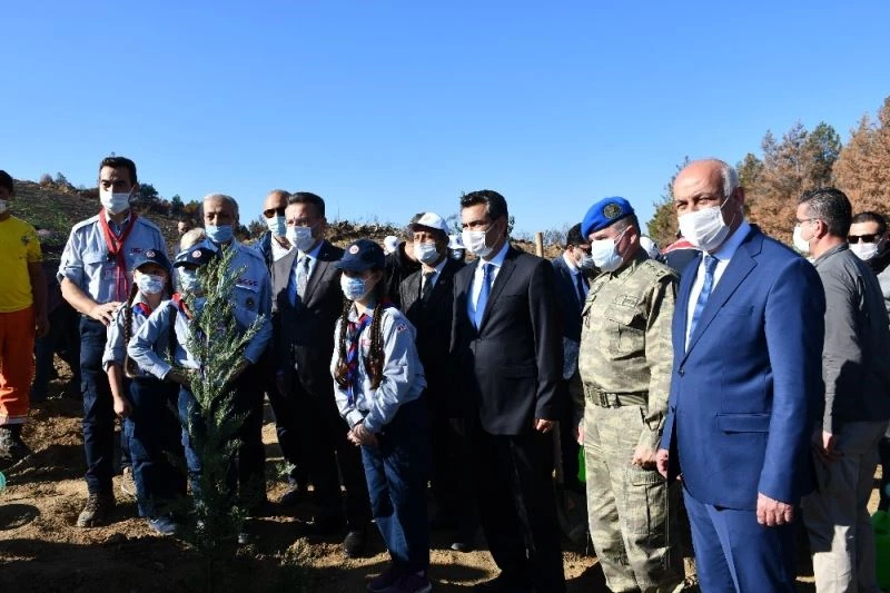 Söke’de eylül ayında yanan alanlar yeniden ağaçla buluşuyor
