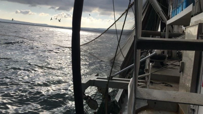 Erdek´te 8 tekneye para cezası kesildi
