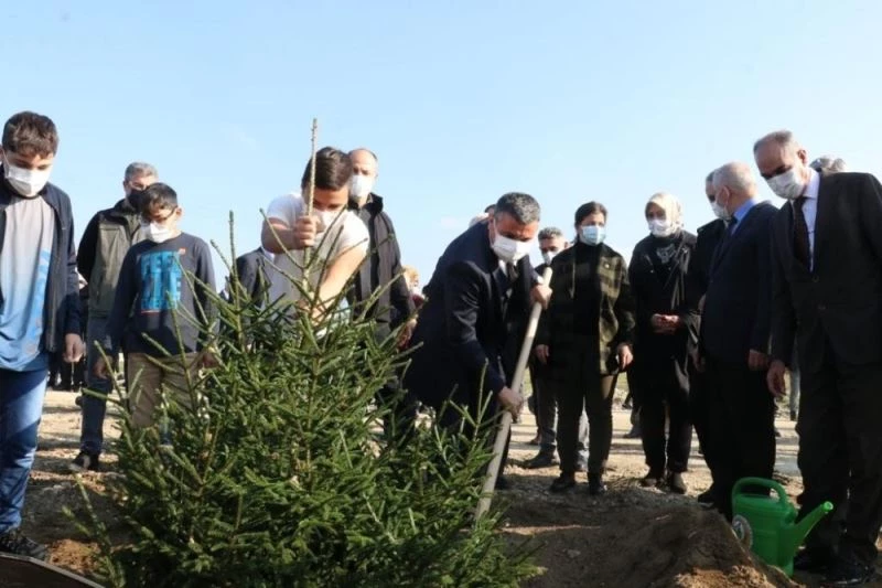 Düzce’de ‘Geleceğe nefes’ seferberliğiyle fidanlar toprakla buluştu
