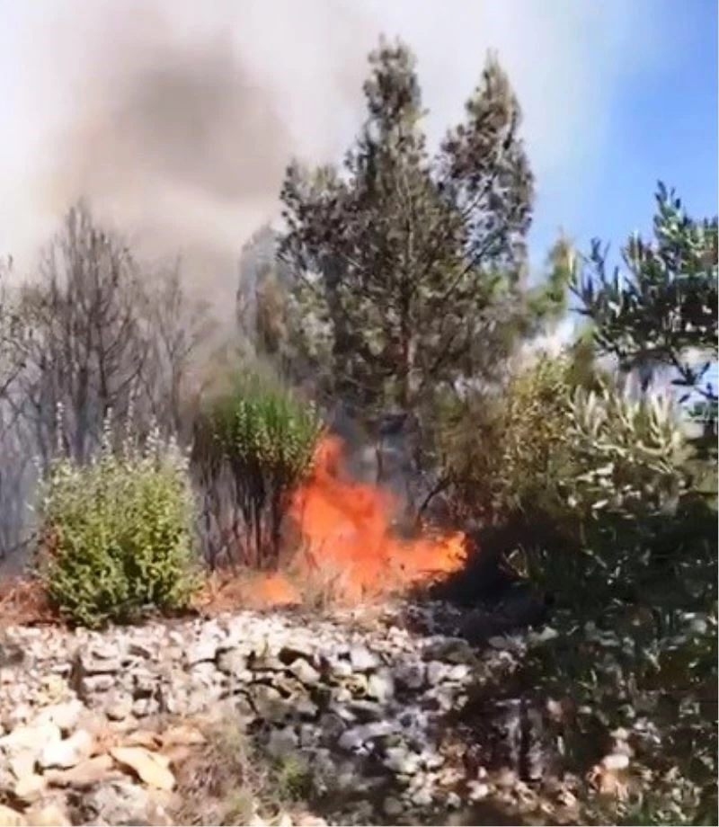 Köyündeki yangını çeken muhtarın üzüntüsü konuşmasına yansıdı

