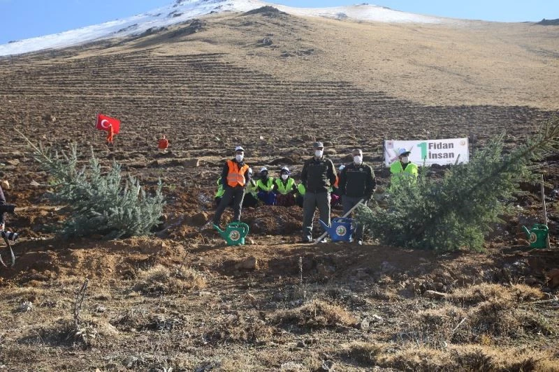 Palandöken Kayak Merkezi ağaçlandırılıyor
