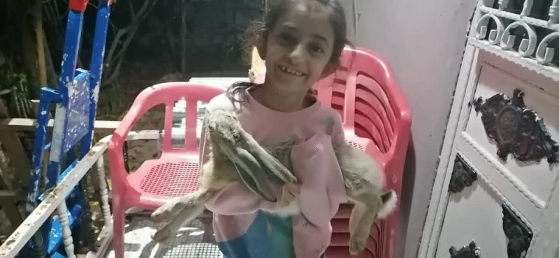 Yaralı tavşanı evinde tedavi etti
