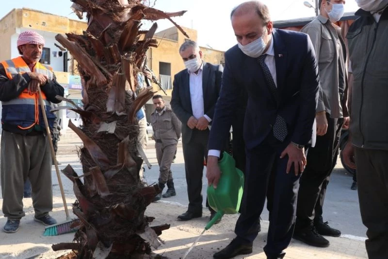 Barış Pınarı bölgesi yeşillendiriliyor
